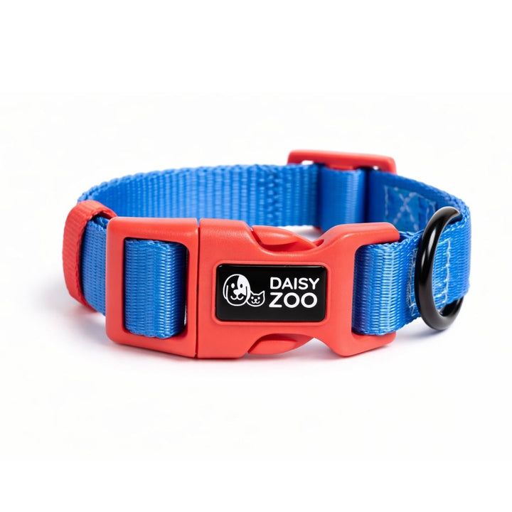 Obroża dla psa Marine Blue – Daisy Zoo
