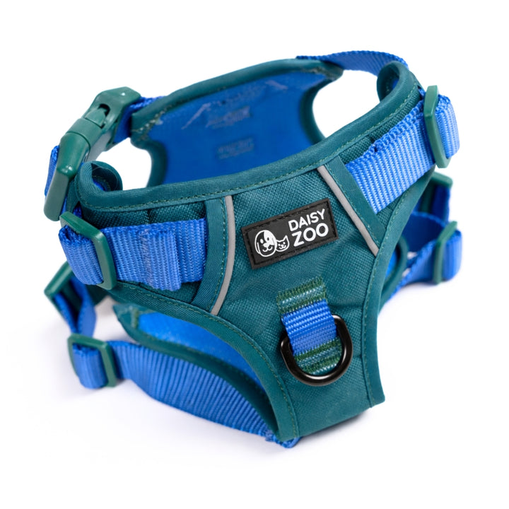 Szelki Guard dla psa Zielone – Daisy Zoo