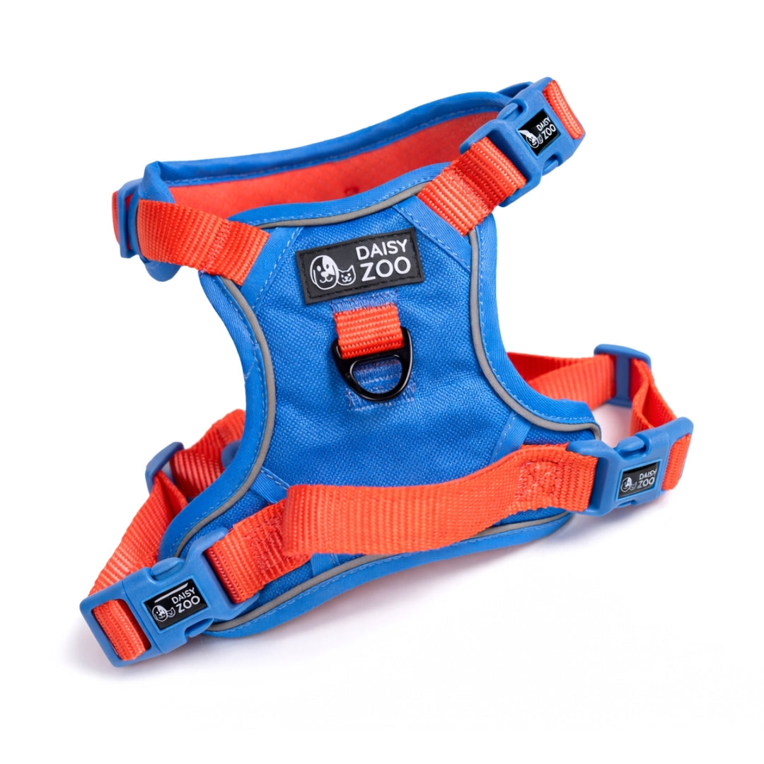 Szelki Guard dla psa Marine Blue – Daisy Zoo