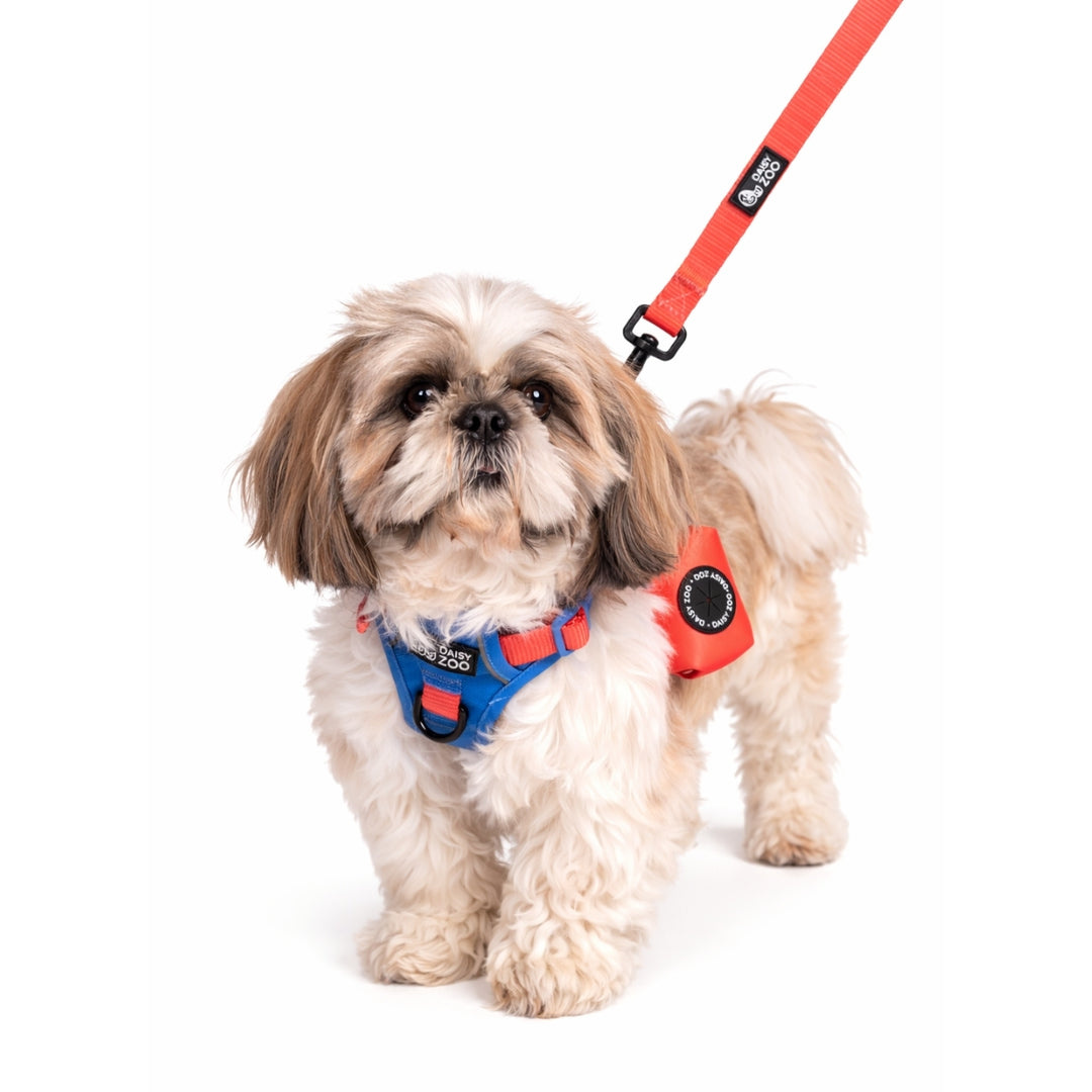 Szelki Guard dla psa Marine Blue – Daisy Zoo