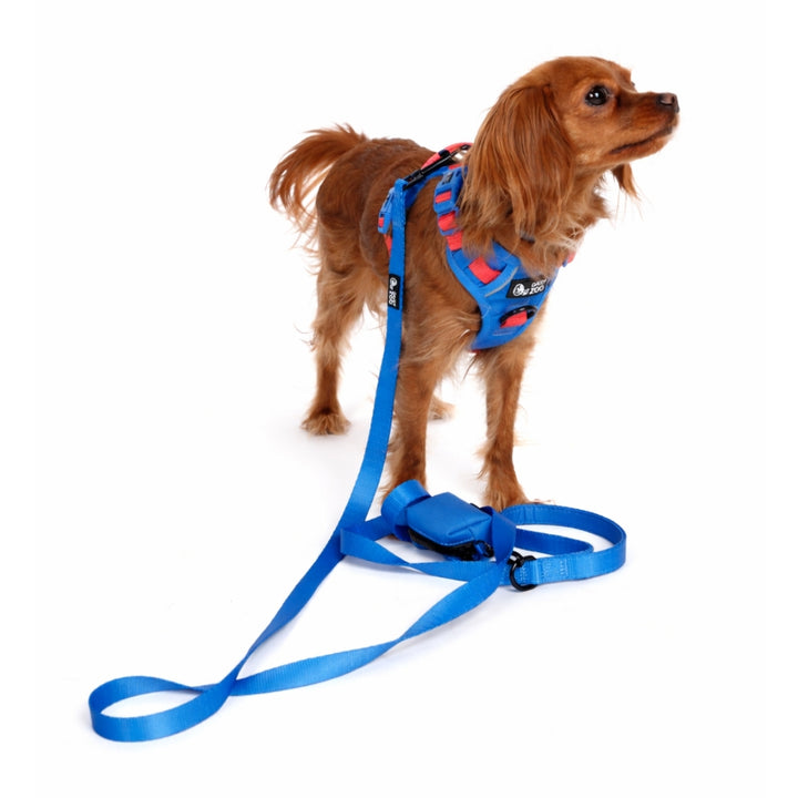 Szelki Guard dla psa Marine Blue – Daisy Zoo
