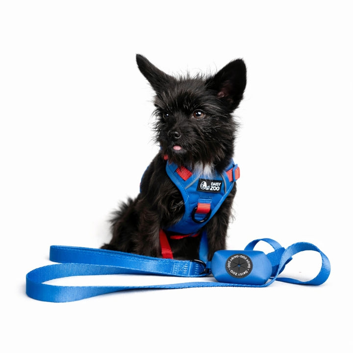 Szelki Guard dla psa Marine Blue – Daisy Zoo
