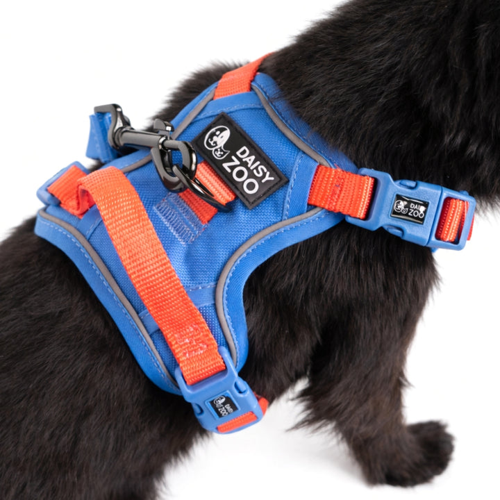 Szelki Guard dla psa Marine Blue – Daisy Zoo