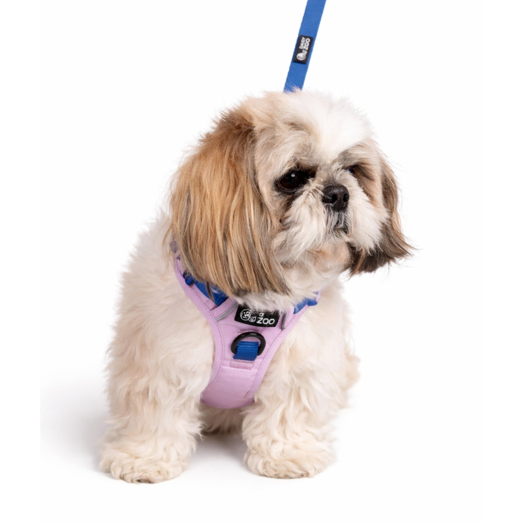 Szelki Guard dla psa Liliowe – Daisy Zoo