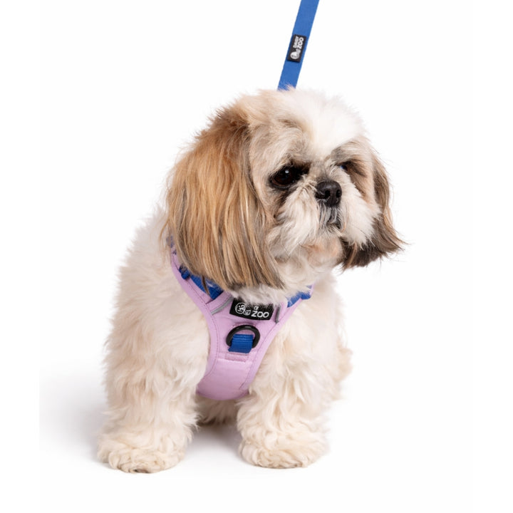 Szelki Guard dla psa Liliowe – Daisy Zoo