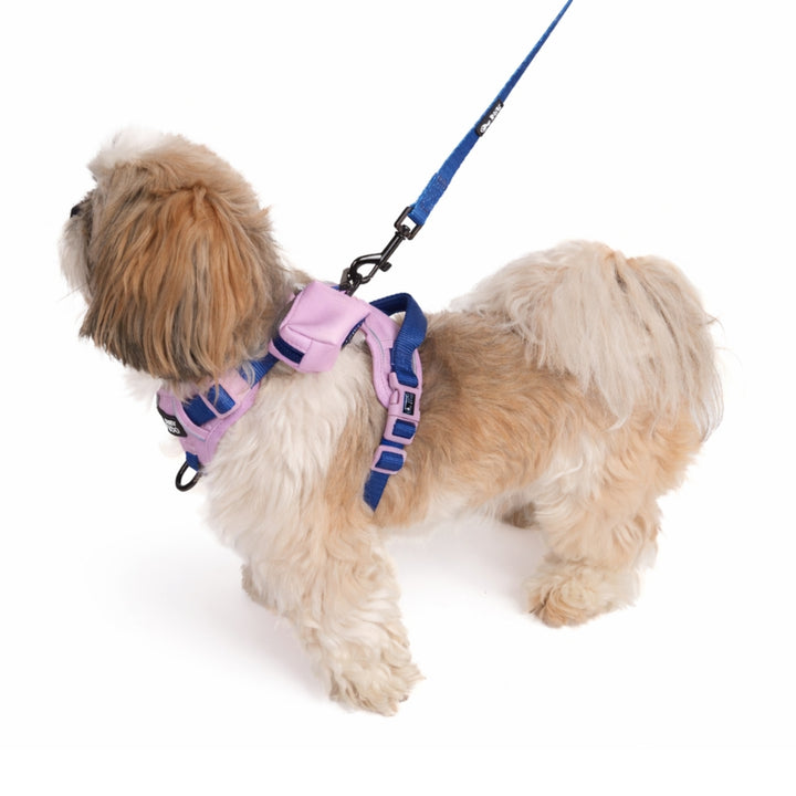 Szelki Guard dla psa Liliowe – Daisy Zoo