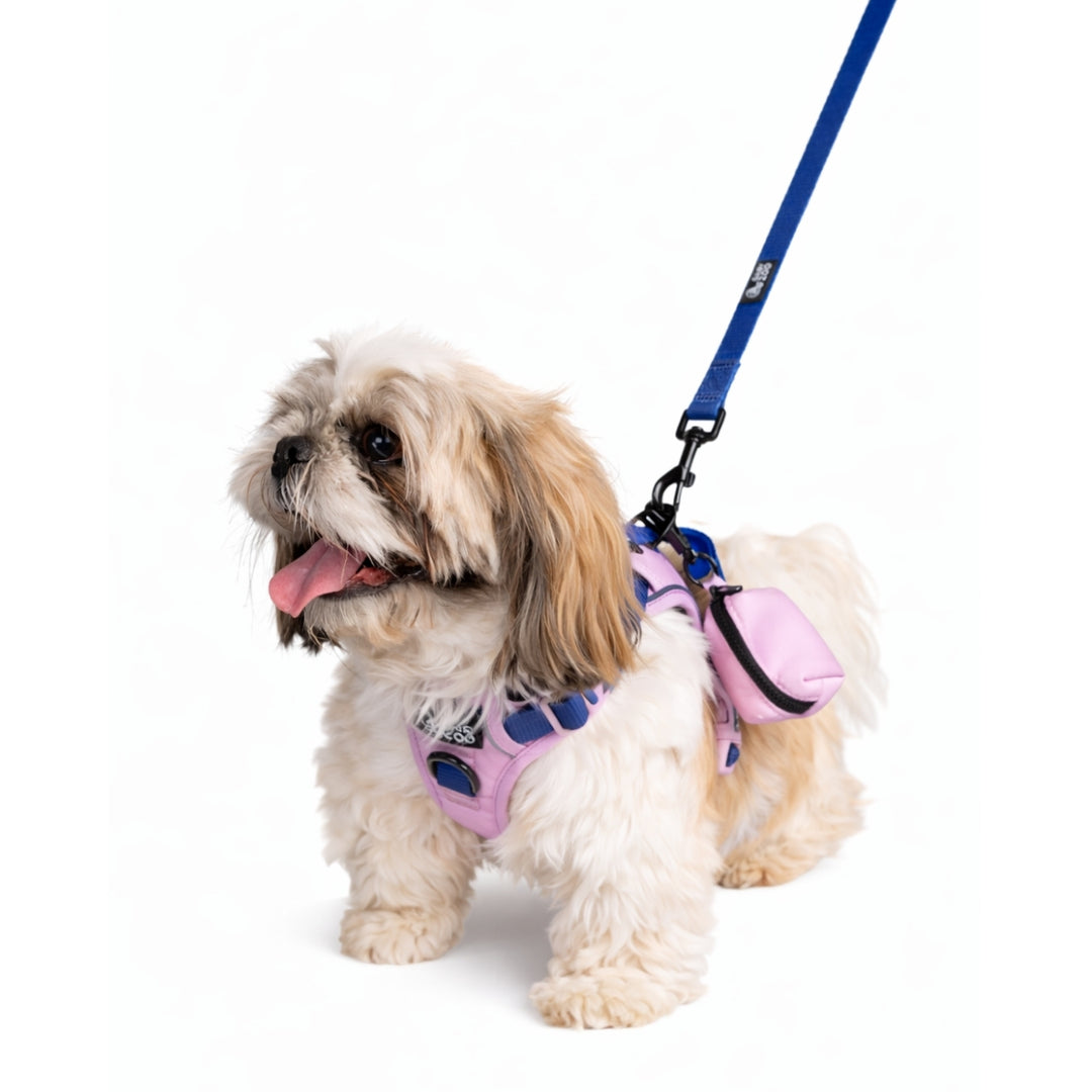 Szelki Guard dla psa Liliowe – Daisy Zoo