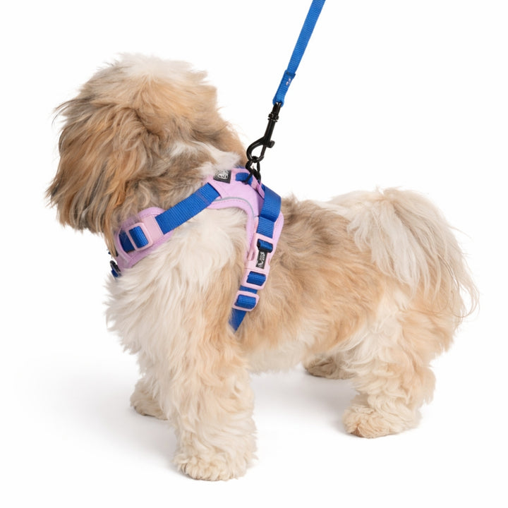 Szelki Guard dla psa Liliowe – Daisy Zoo