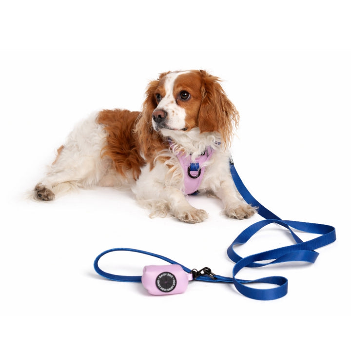 Smycz dla psa Granatowy