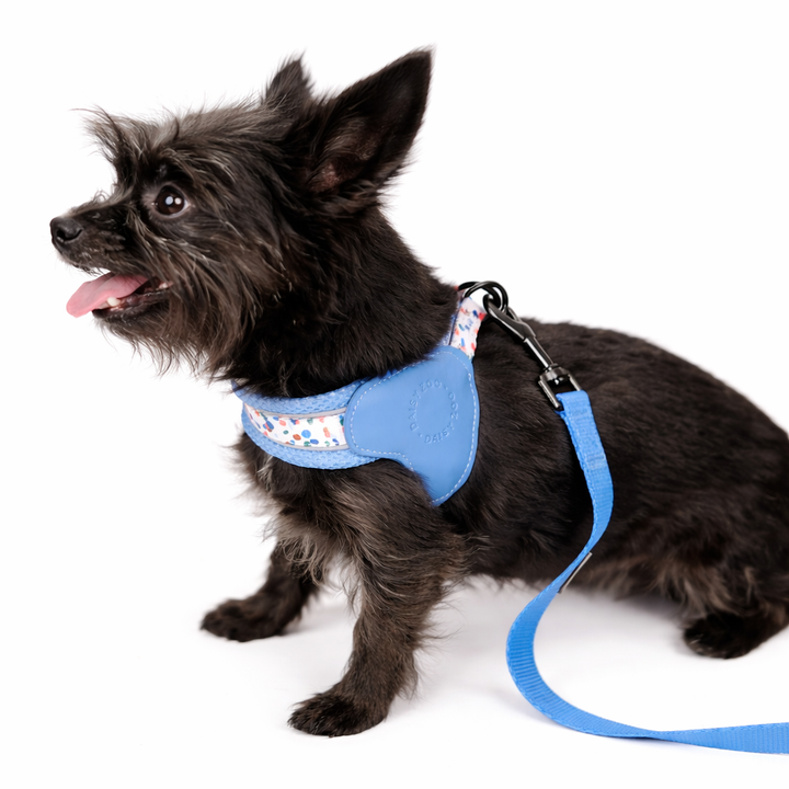 Szelki Step-in dla psa Marine Blue – Daisy Zoo