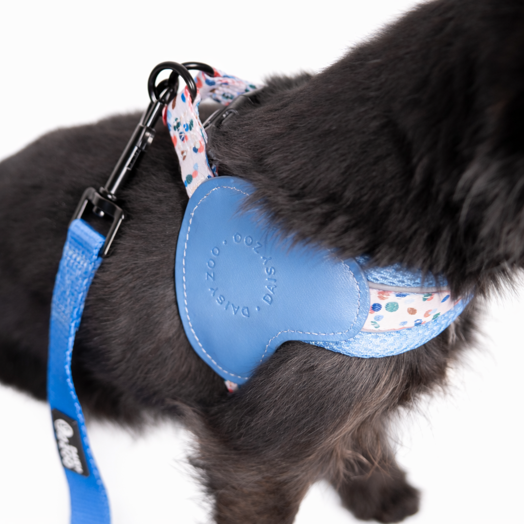 Szelki Step-in dla psa Marine Blue – Daisy Zoo