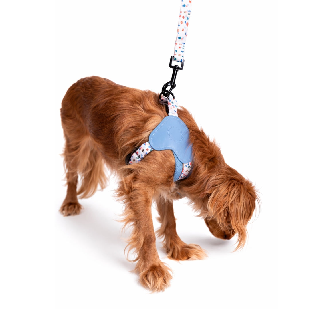 Szelki Step-in dla psa Marine Blue – Daisy Zoo