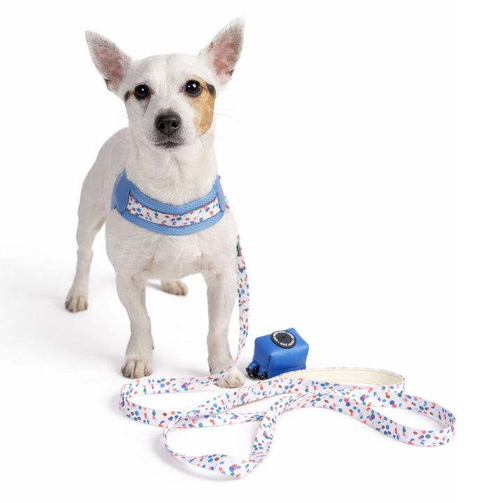 Szelki Step-in dla psa Marine Blue – Daisy Zoo